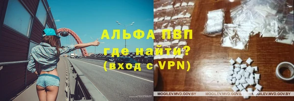 стаф Дмитровск