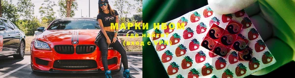твердый Дмитров