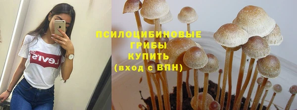 стаф Дмитровск