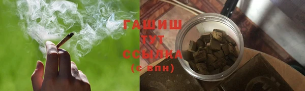стаф Дмитровск