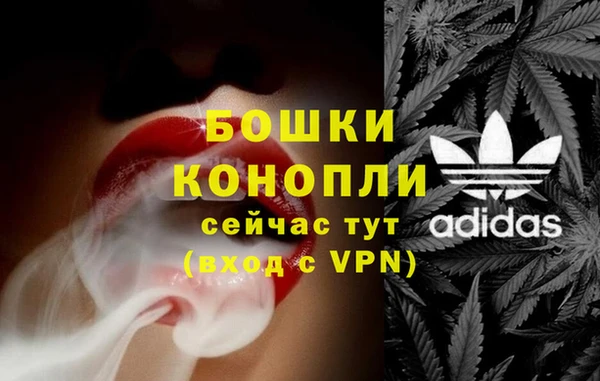 твердый Дмитров