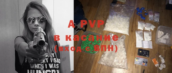 стаф Дмитровск