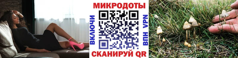 Псилоцибиновые грибы мухоморы  Купить где  Верещагино 