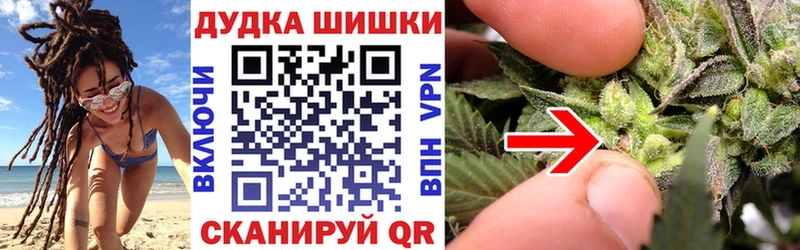 Каннабис сатива  Купить  Верещагино 
